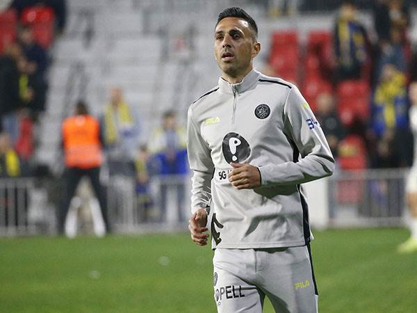 עולה למלחמה (אלן שיבר)