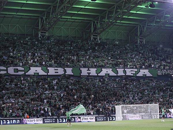 (מאור אלקסלסי)