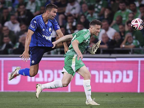 (מאור אלקסלסי)