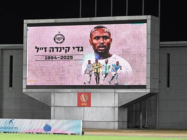 (ברני ארדוב)