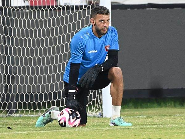 (ברני ארדוב)