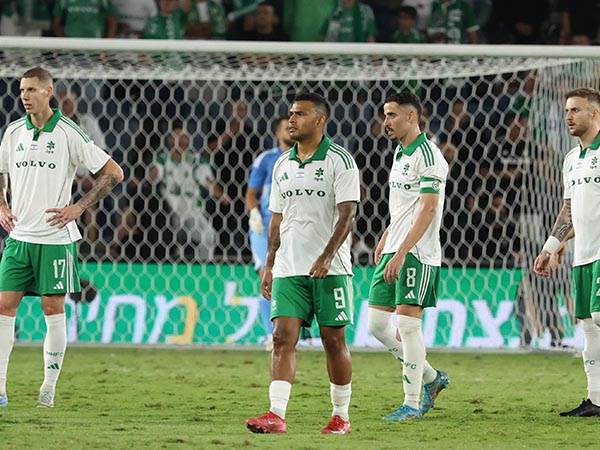 (צילום: דני מרון)