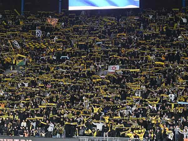 (ברני ארדוב)