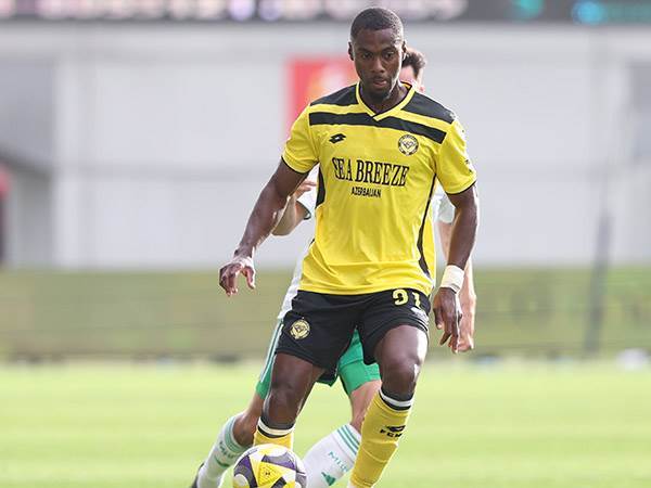 (ברני ארדוב)