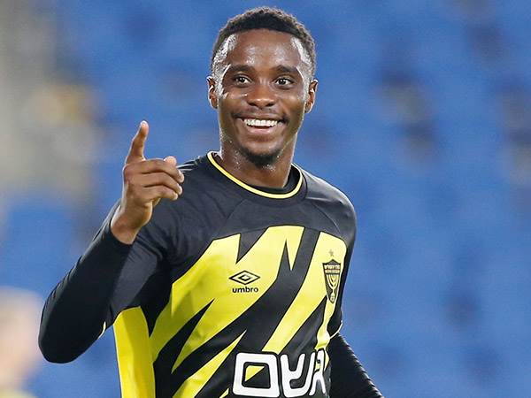 מוזי. אקס פקטור (אלן שיבר)