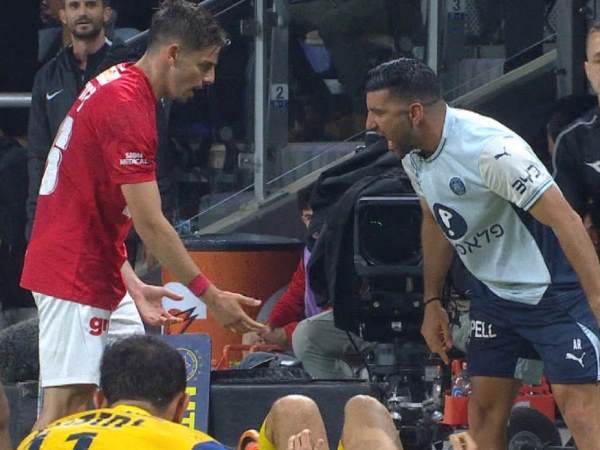 ליידנר רצה לזרז את דוידה, ריקן התנגד