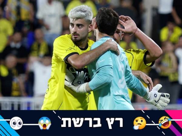 (אלן שיבר)