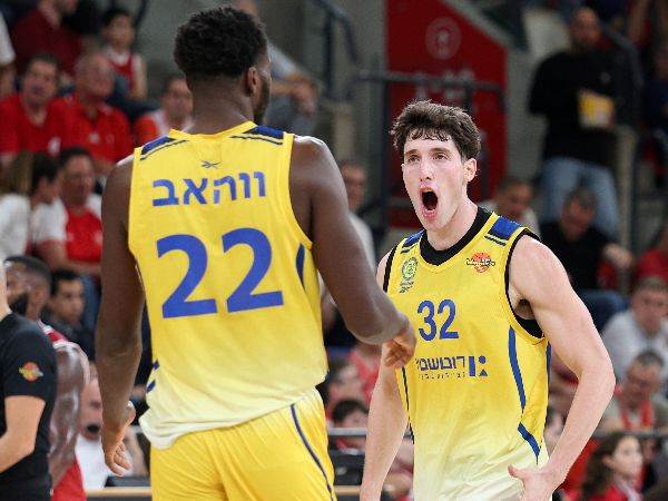 (אלן שיבר)