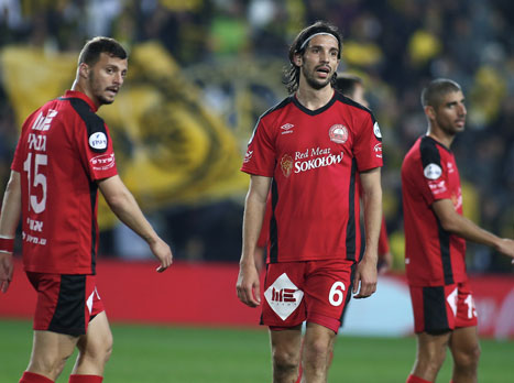 (צילום: אלן שיבר)