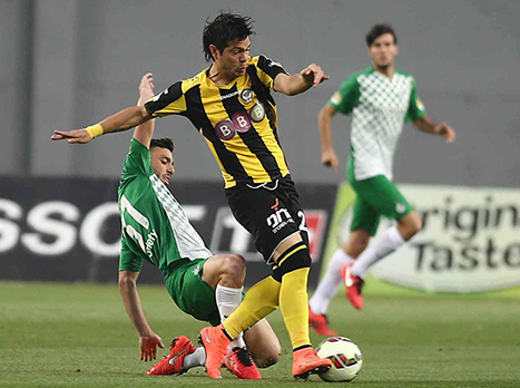 רכש מעניין לאשקלון. סימיליאניץ' (צילום: אלן שיבר)