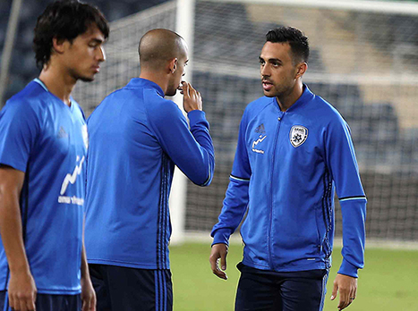 לא יכול היה להסתיים אחרת (אלן שיבר)