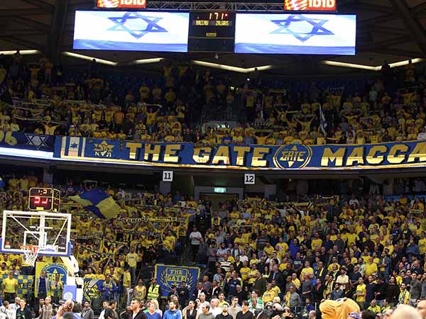 הקהל הצהוב שוב מילא את ההיכל (אלן שיבר)