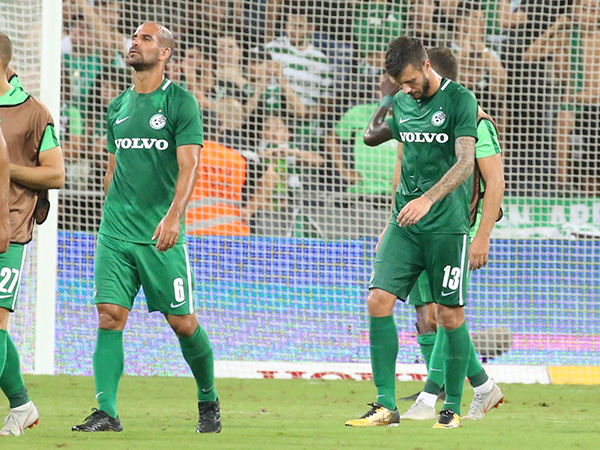 הווינריות חסרה (יוסי שקל)