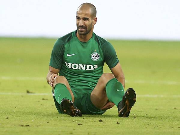 במדי חיפה. "לא רחוקה ממכבי ת"א מבחינה ניהולית" (אלן שיבר)