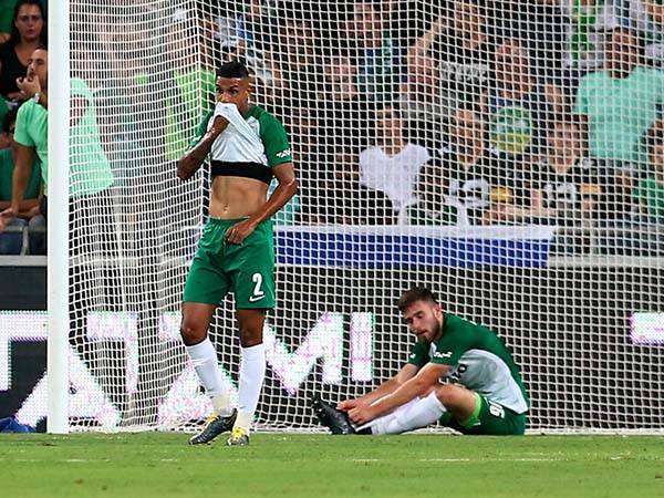 לירוקים יש סיבה להיות מאוכזבים (אלן שיבר)