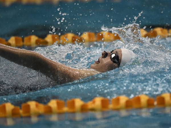 (עמית שיסל, איגוד השחייה)