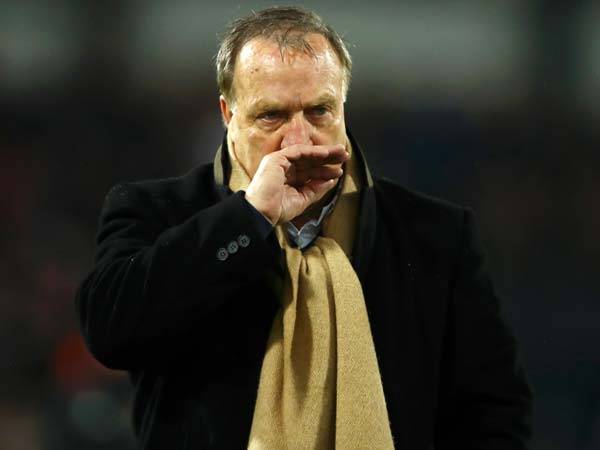 אדבוקאט. מחוול פלאים (Getty)