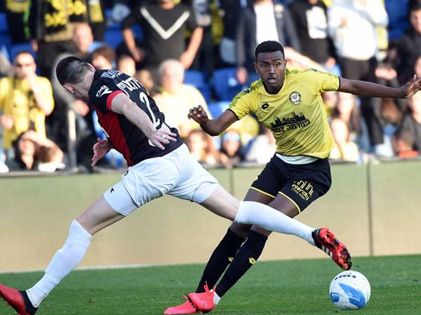 (ברני ארדוב)