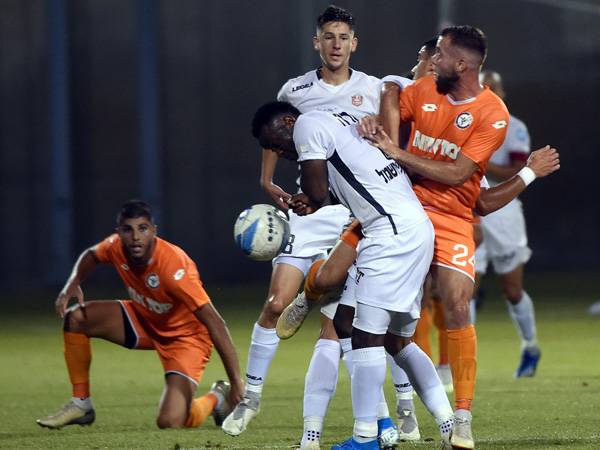 (ברני ארדוב)