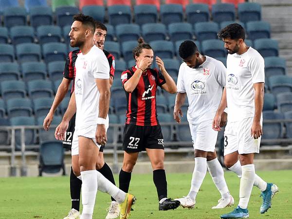 (ברני ארדוב)