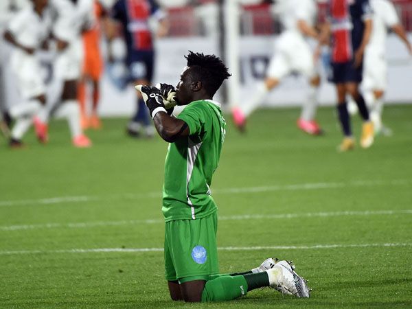 (ברני ארדוב)