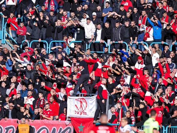 (מאור אלקסלסי)