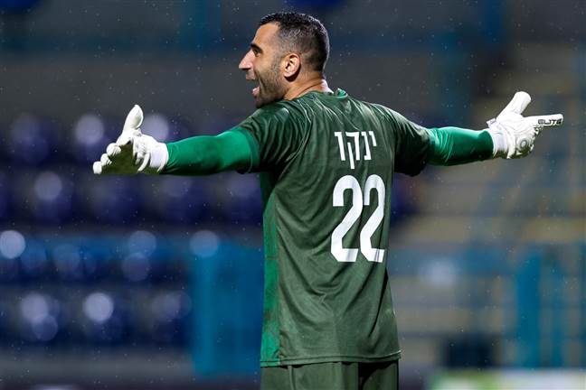 (מאור אלקסלסי)