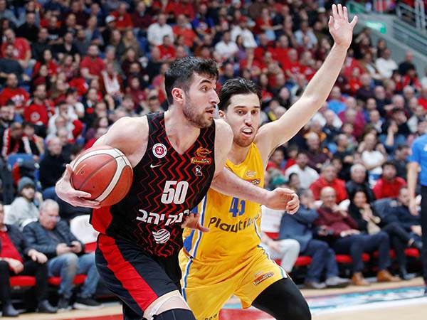 (צילום: אלן שיבר)