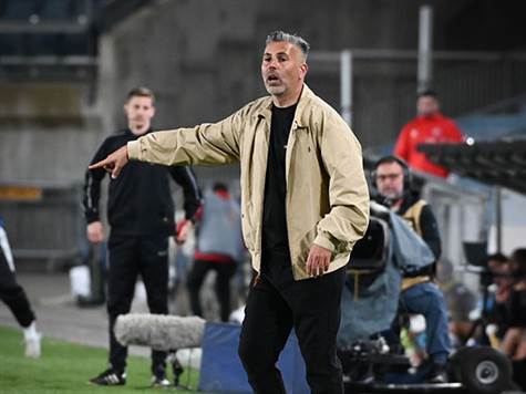 (ברני ארדוב)