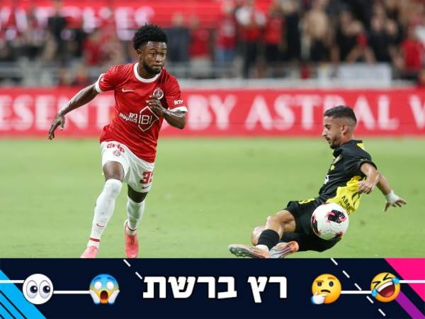 (אלן שיבר)