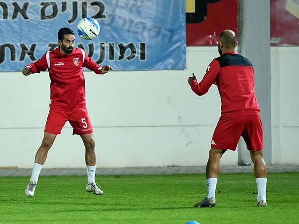 (ברני ארדוב)