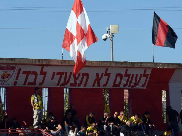 (ברני ארדוב)