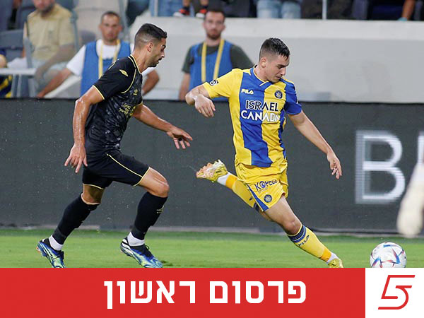 (אלן שיבר)