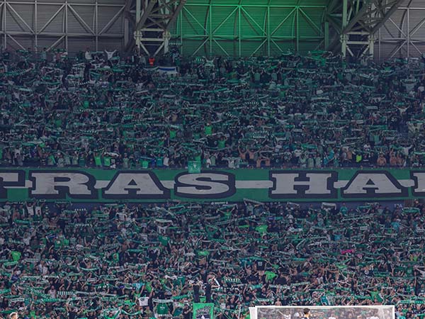 התגעגעו לקהל (דני מרון)