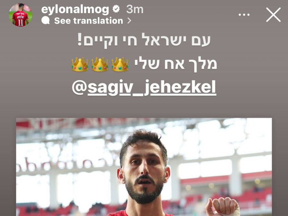 אילון אלמוג