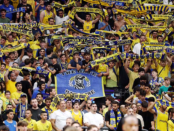 הצהובים יחזרו מאוכזבים (אלן שיבר)