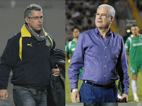 קרב גלדיאטורים. שחר נגד אנגלידיס