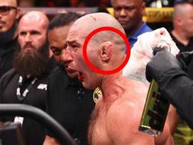 Ed Mulholland/Zuffa LLC