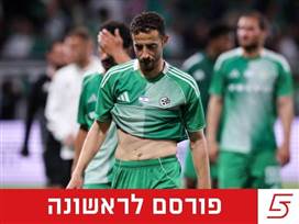 (מאור אלקסלסי)