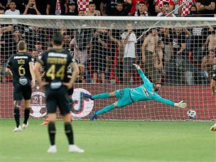 (צילום: אלן שיבר)