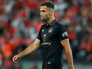 (צילום: אלן שיבר)