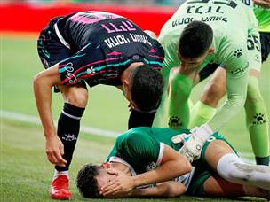 (צילום: אלן שיבר)