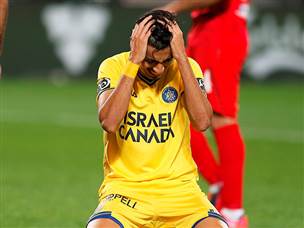 ואיבדו את הראש (אלן שיבר)