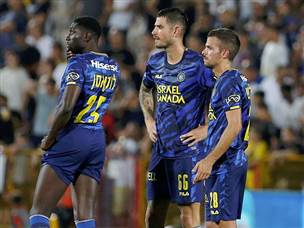 אבל השער נפסל (אלן שיבר)