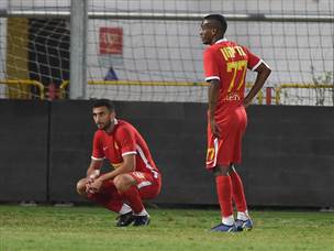 אך תסתפק רק במחמאות (ברני ארדוב)