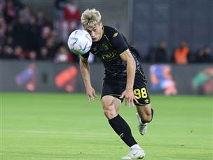 ניקולסקו. הפעם לא כבש (דני מרון)