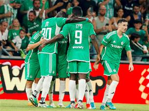 חיפה השוותה (צילום: אלן שיבר)