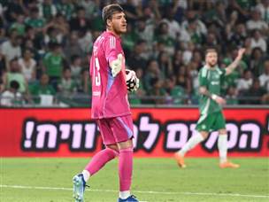 סולטאני. יכולת טובה (ברני ארדוב)