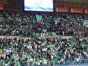 בצהוב ובירוק (צילום: דני מרון)