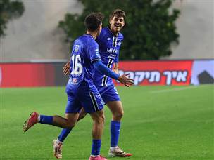 והשערים של רועי דוד (אודי ציטיאט)